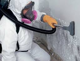 Bellmead, TX Mold Prevention & Removal  Company